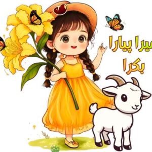 Eid Ul Adha Girls Collection